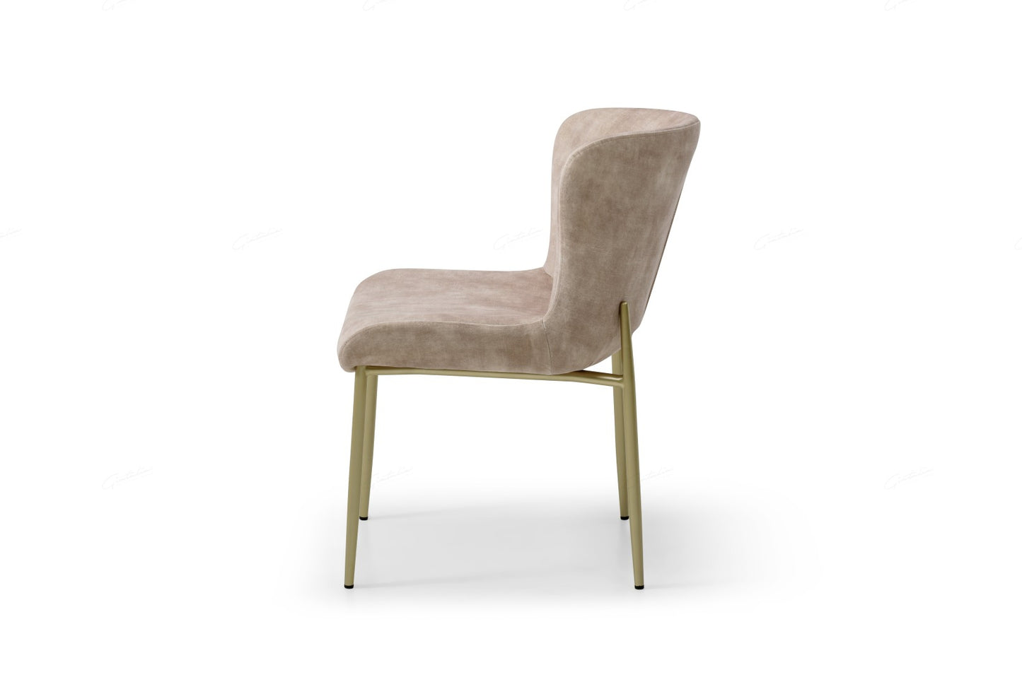 Pietra Dining Chair - Champagne Fabric